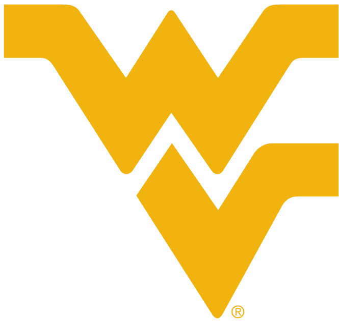 West Virginia Mountaineers 1980-Pres Alternate Logo v4 DIY iron on transfer (heat transfer)